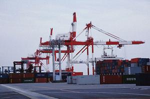 食用とされる金箔の安全性について